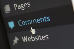 Why Custom WordPress Themes?