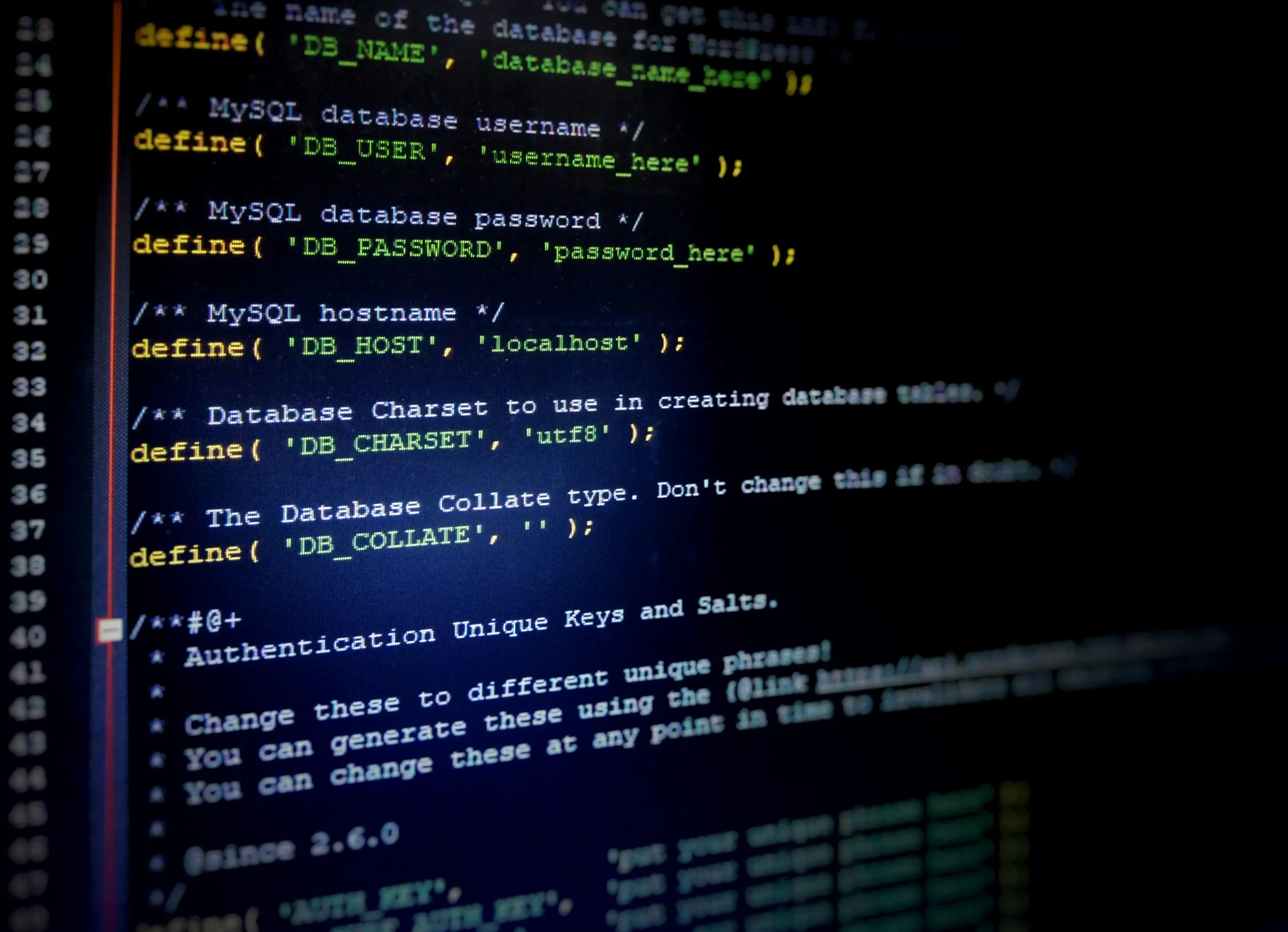 Custom Web Development